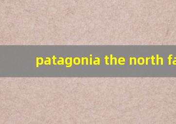 patagonia the north face